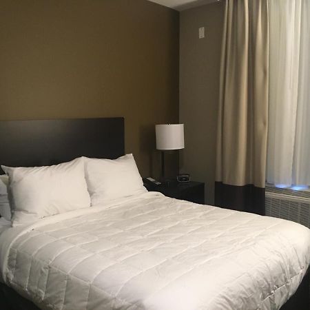 The Williams Hotel 纽约 外观 照片