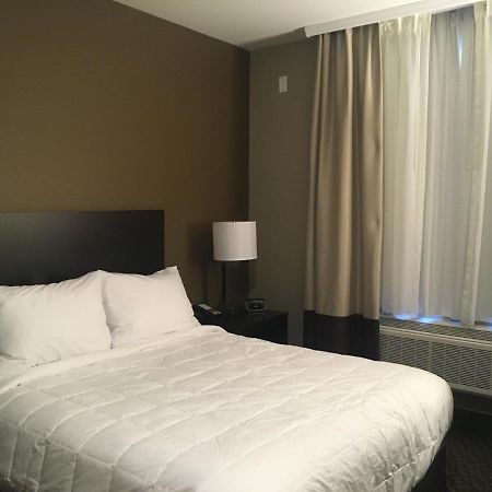 The Williams Hotel 纽约 外观 照片