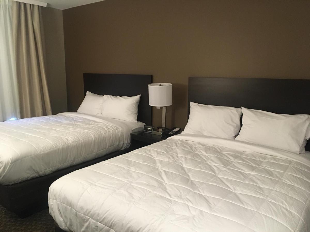 The Williams Hotel 纽约 外观 照片
